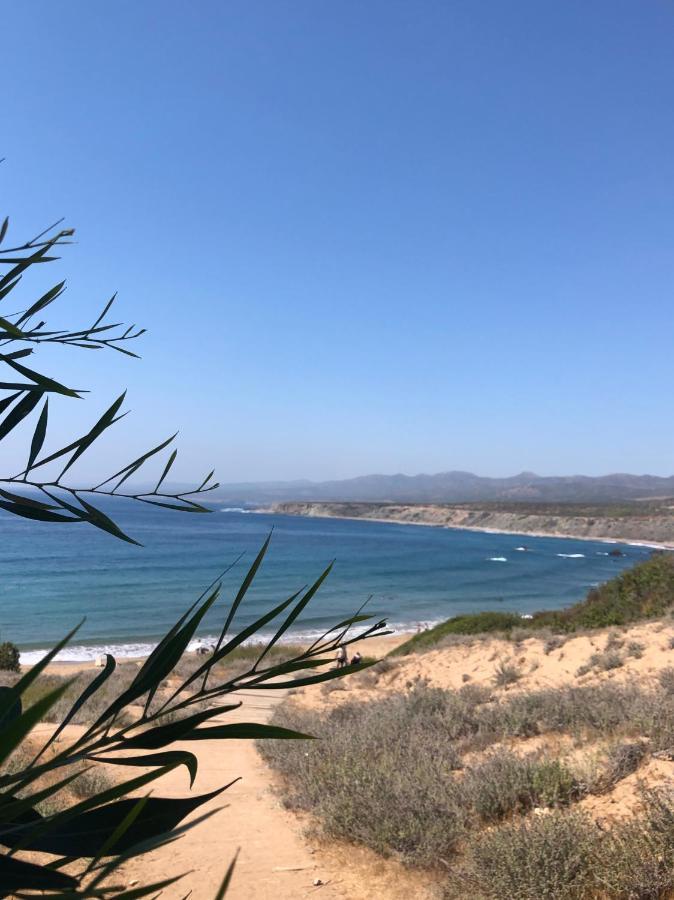 Peyia Palm Villa Paphos Exteriör bild