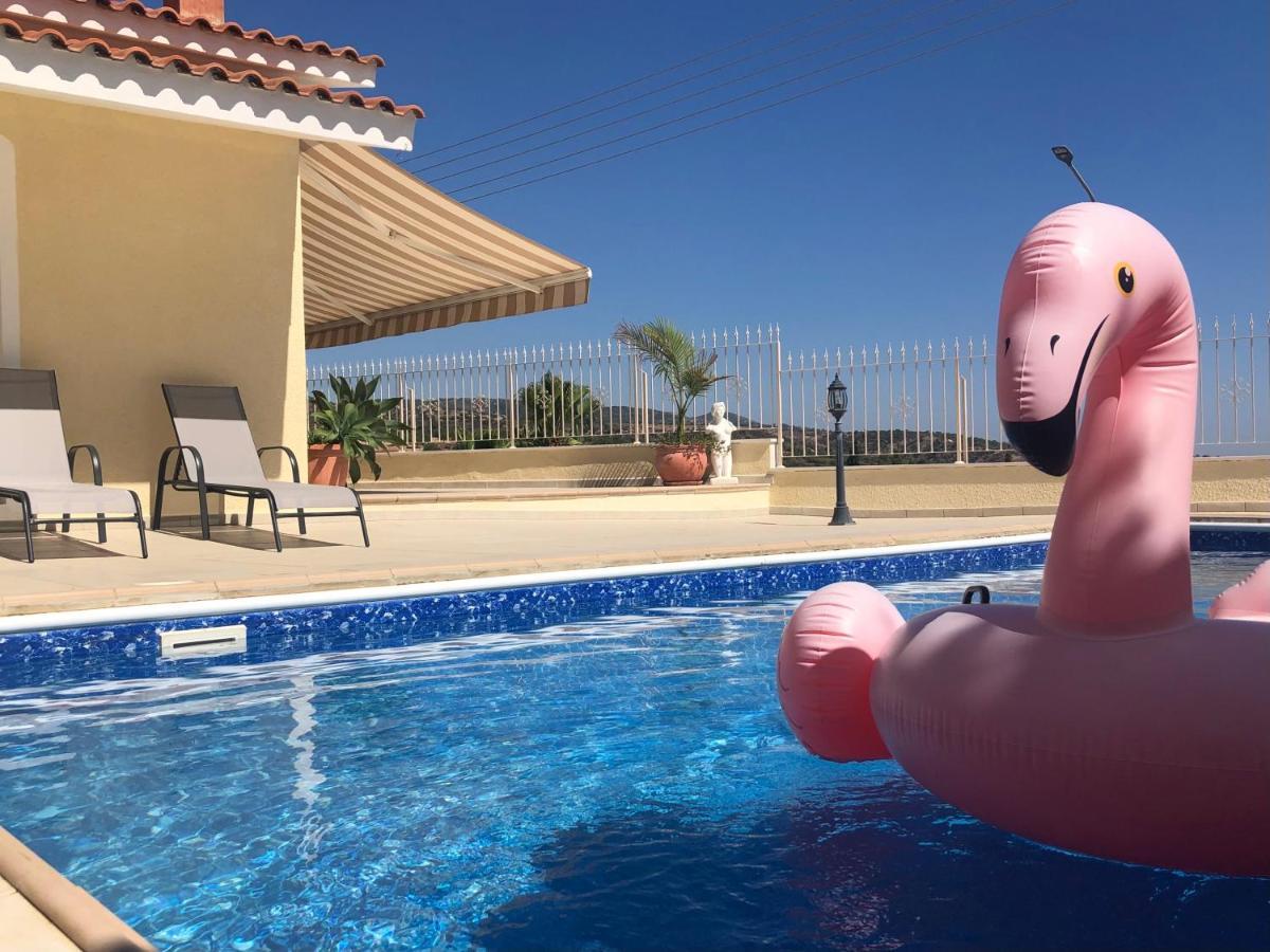 Peyia Palm Villa Paphos Exteriör bild
